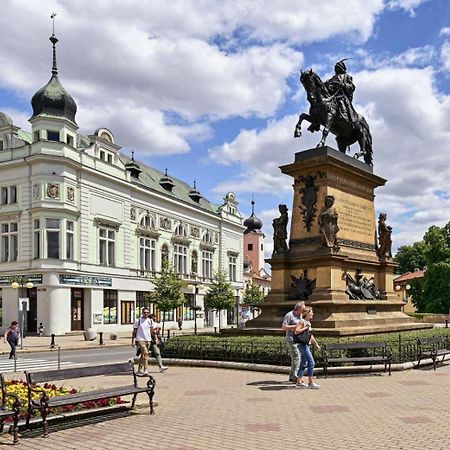 Apartment Spa And Fontain Poděbrady Exteriér fotografie