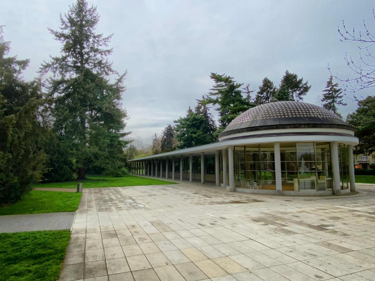 Apartment Spa And Fontain Poděbrady Exteriér fotografie